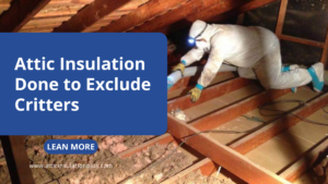Attic Insulation
